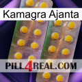 Kamagra Ajanta new10